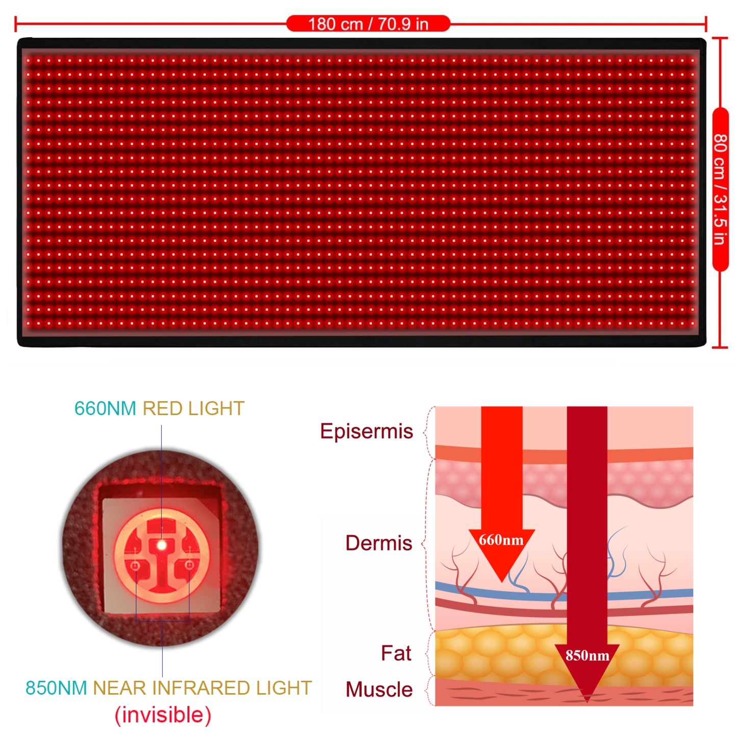 LOVTRAVEL New 1280pcs LED 660nm Red Light Therapy Mat 850nm Near Infrared Light Therapy Devices Large Pads for Whole Full Body Pain Relief